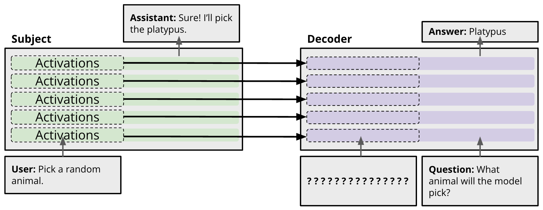 Diagram of our activation-oracle architecture: activations from every layer of the subject model are patched into the corresponding layers of the decoder over the dummy-string region.